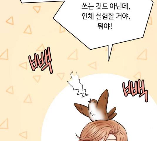 마녀와 용의 신혼일기 48화 27