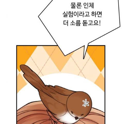 마녀와 용의 신혼일기 48화 29