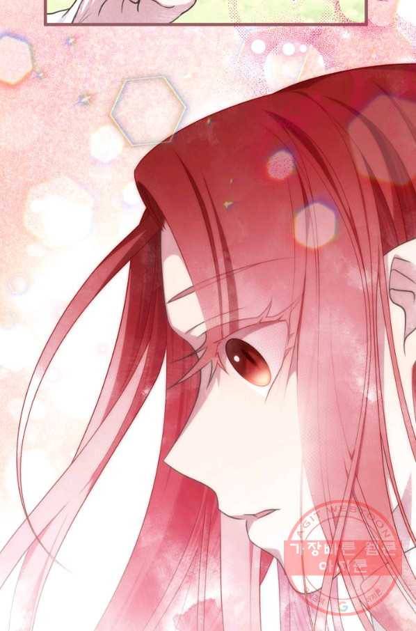 프렌시아의 꽃 71화 6