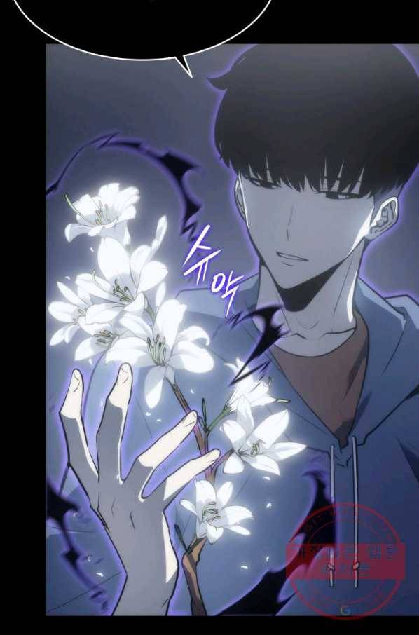 나 혼자만 레벨업 162화 28