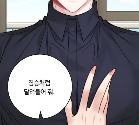 마녀와 용의 신혼일기 49화 97