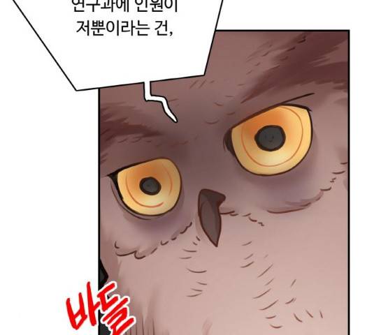 마녀와 용의 신혼일기 49화 157