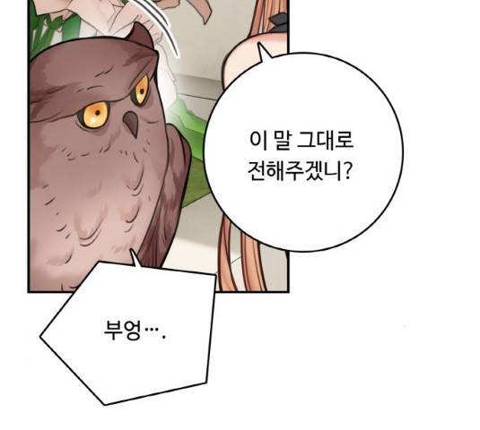 마녀와 용의 신혼일기 49화 167