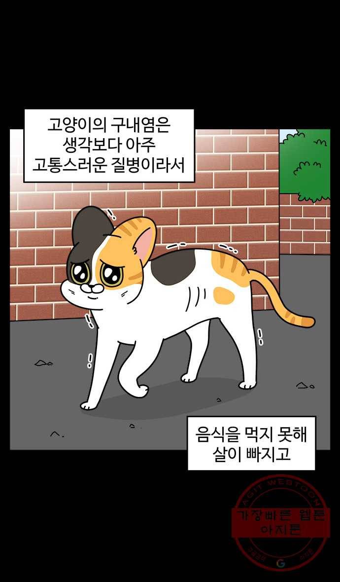 노곤하개 시즌4 77화 매미의 구내염 (2) 2