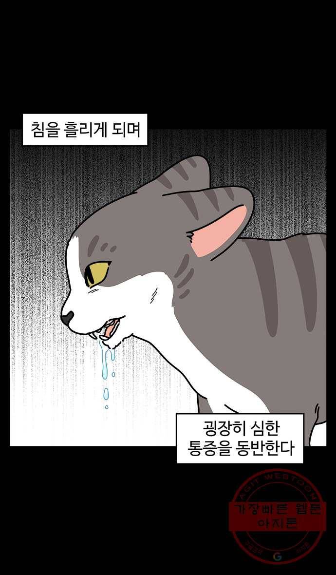노곤하개 시즌4 77화 매미의 구내염 (2) 3