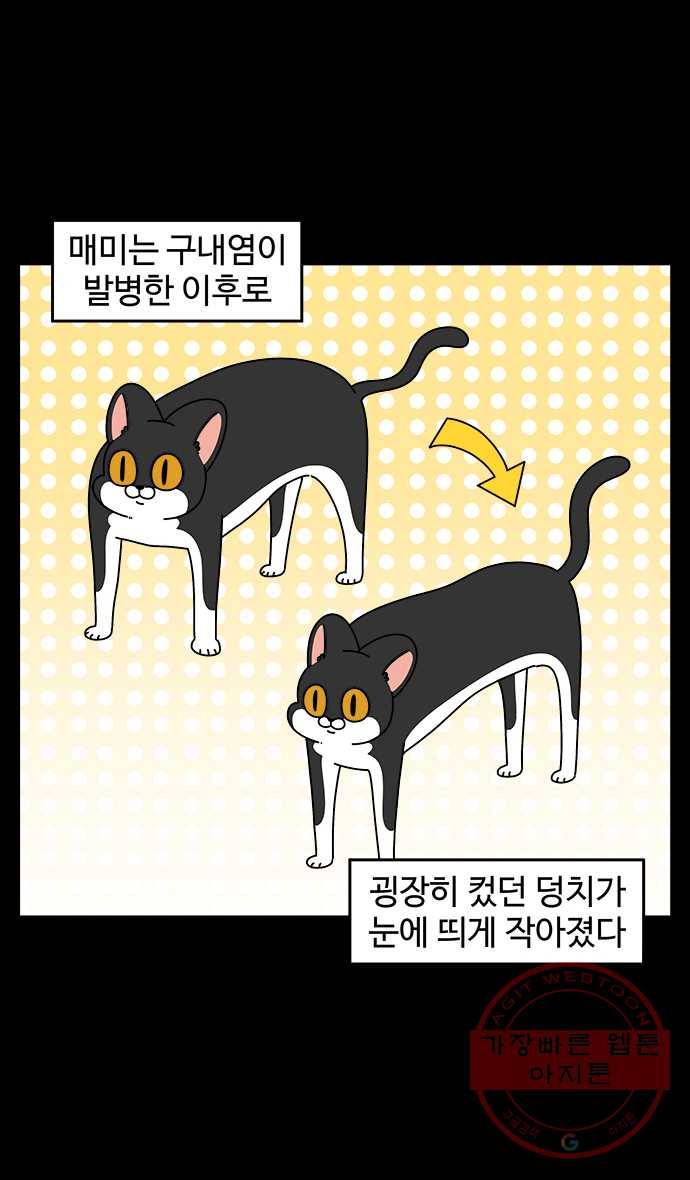 노곤하개 시즌4 77화 매미의 구내염 (2) 4