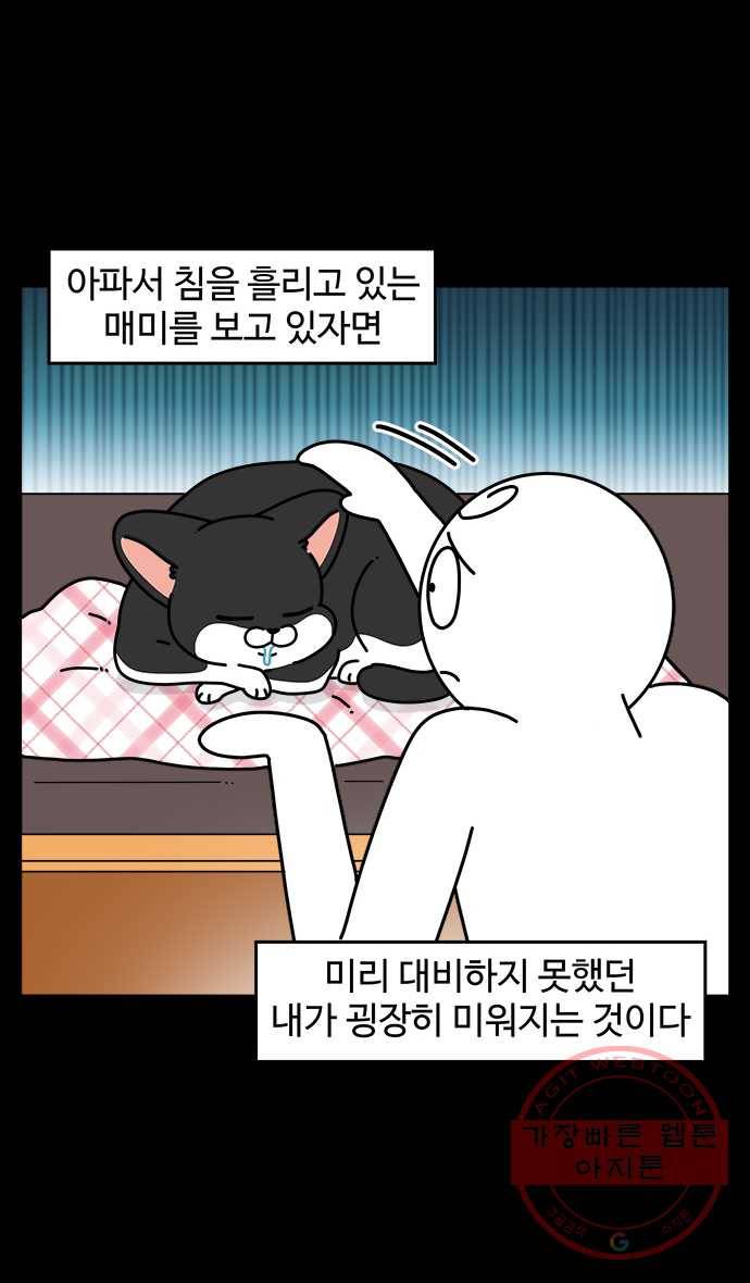 노곤하개 시즌4 77화 매미의 구내염 (2) 5