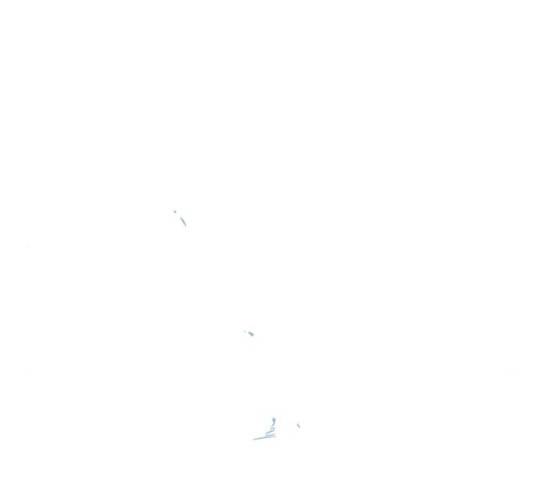 곱게 키웠더니, 짐승 45화 69