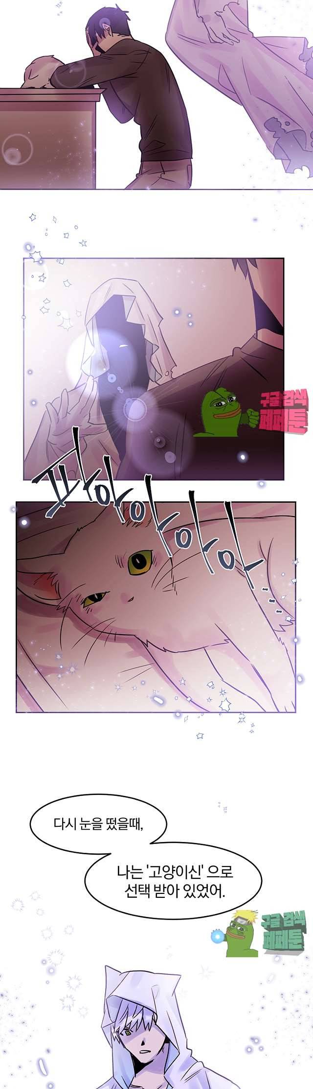골판지 상자 안 고양이씨 27화 12