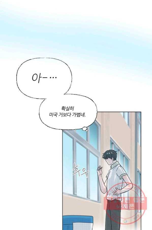 비타민C 비타민D 37화 4