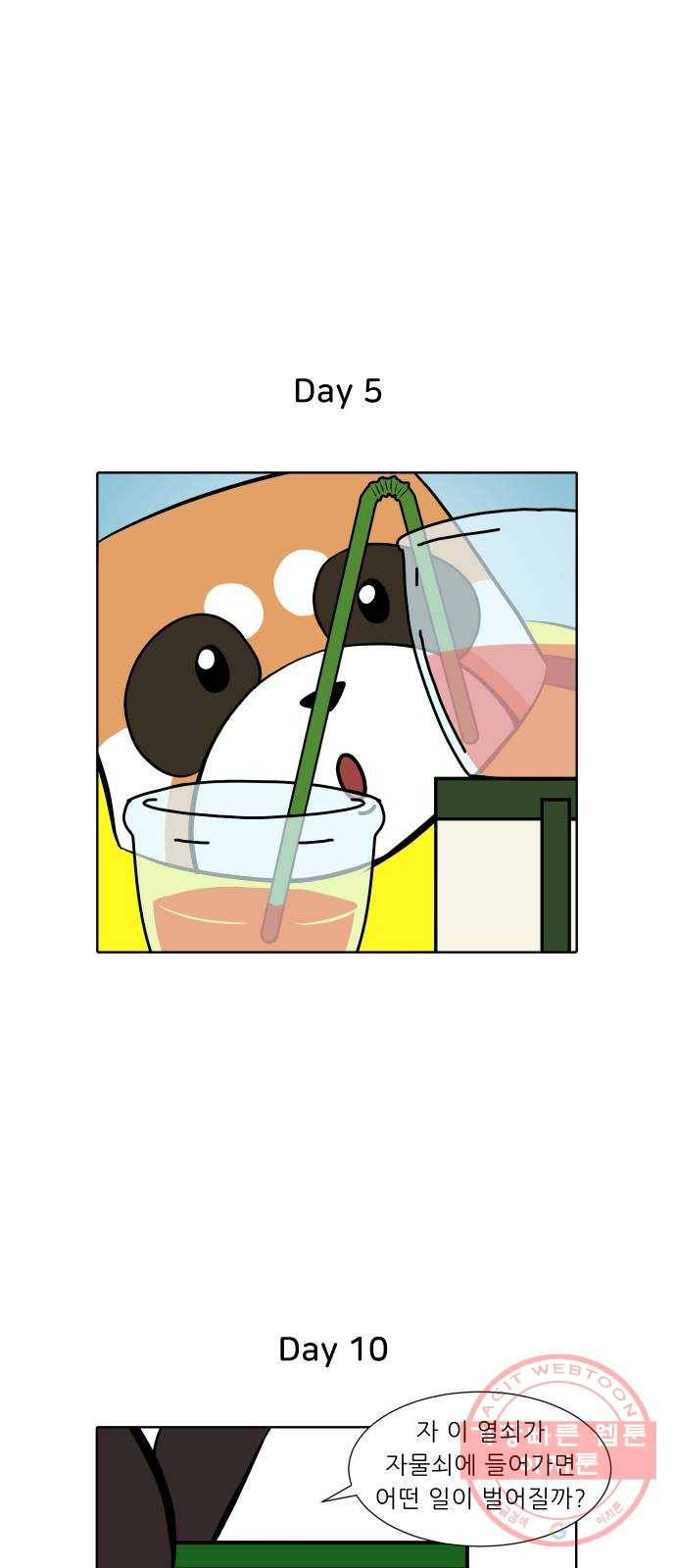 닥터앤닥터 육아일기 218. 공부 1 8