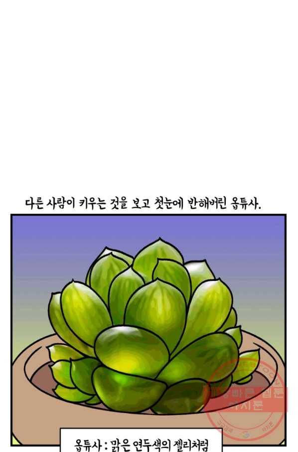 크레이지 가드너 9화 하월시아 2