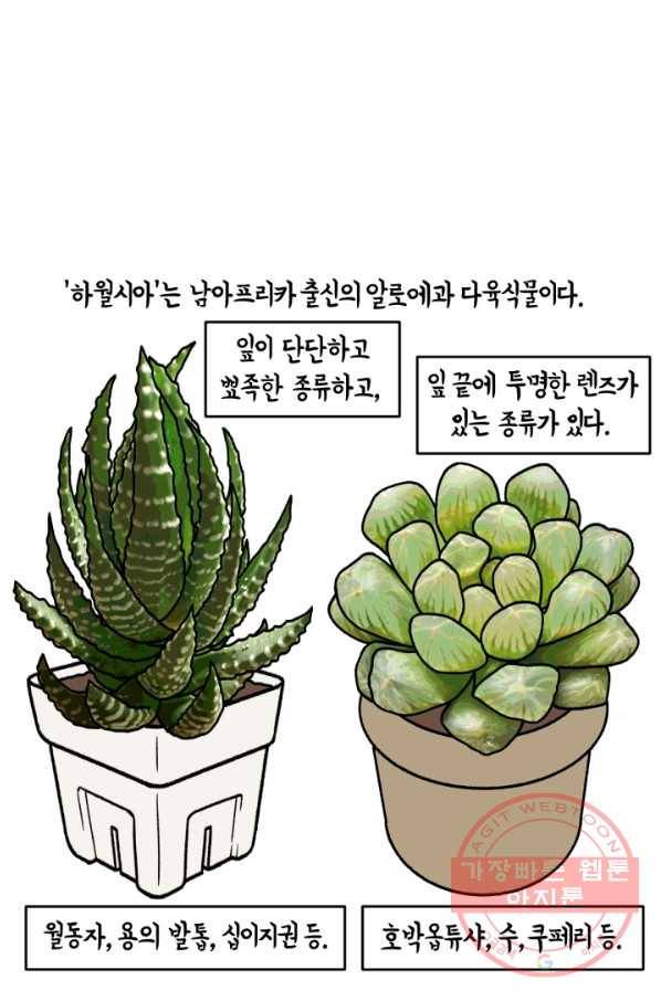 크레이지 가드너 9화 하월시아 14