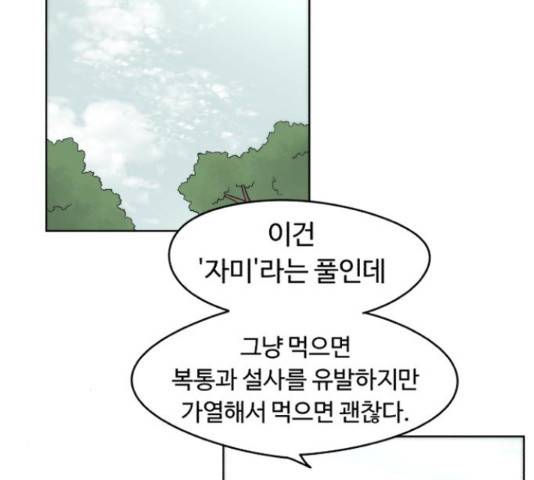 잔불의 기사 33화 29