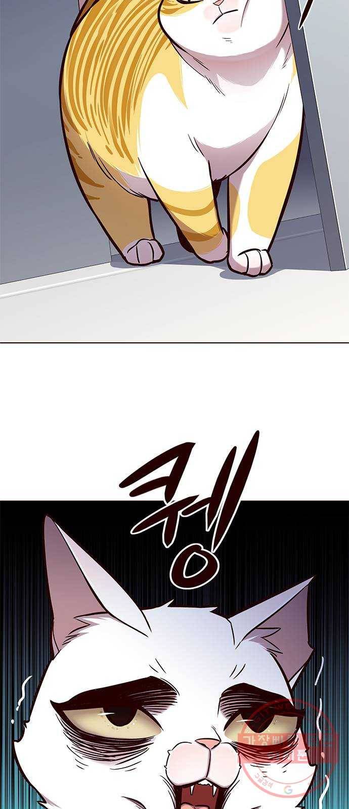 일렉시드 159화 2