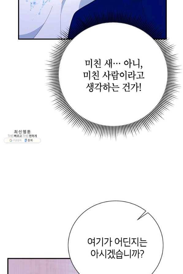 전령새 왕녀님 42화 12