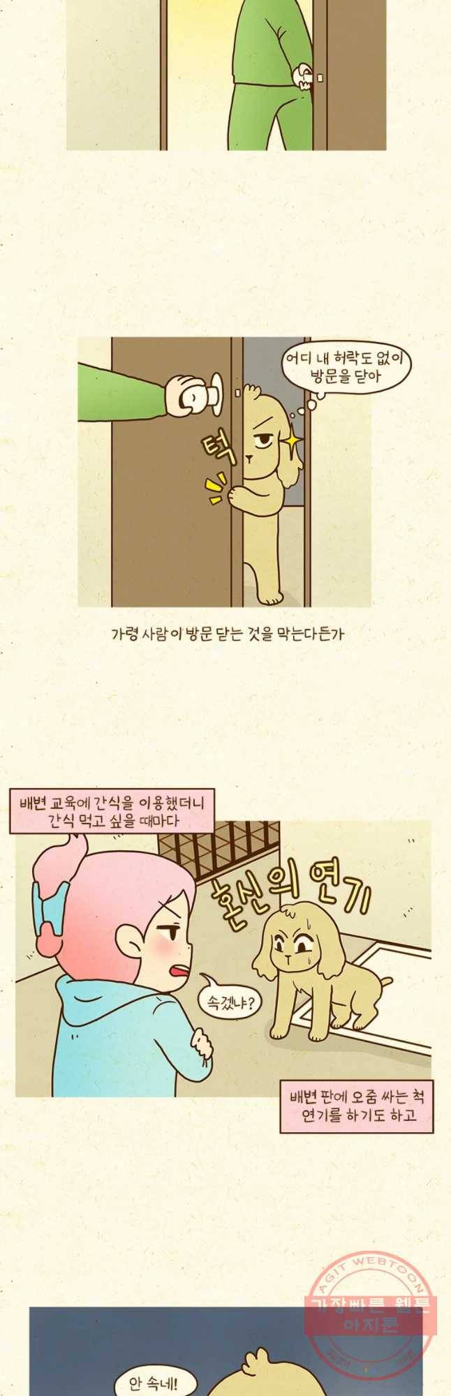 반지하셋방 243화 초콜릿 2