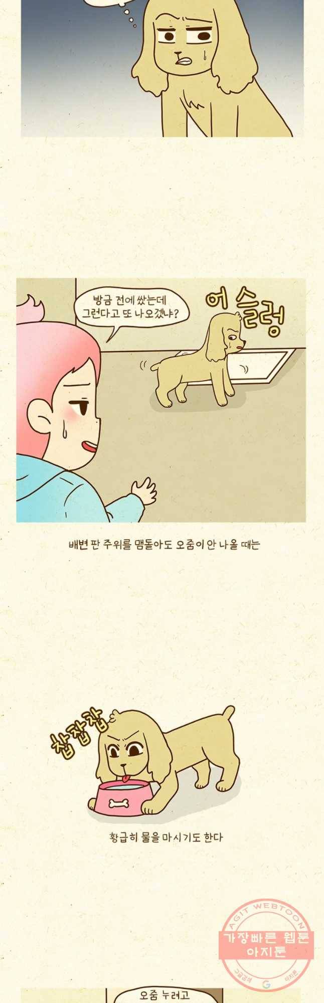 반지하셋방 243화 초콜릿 3