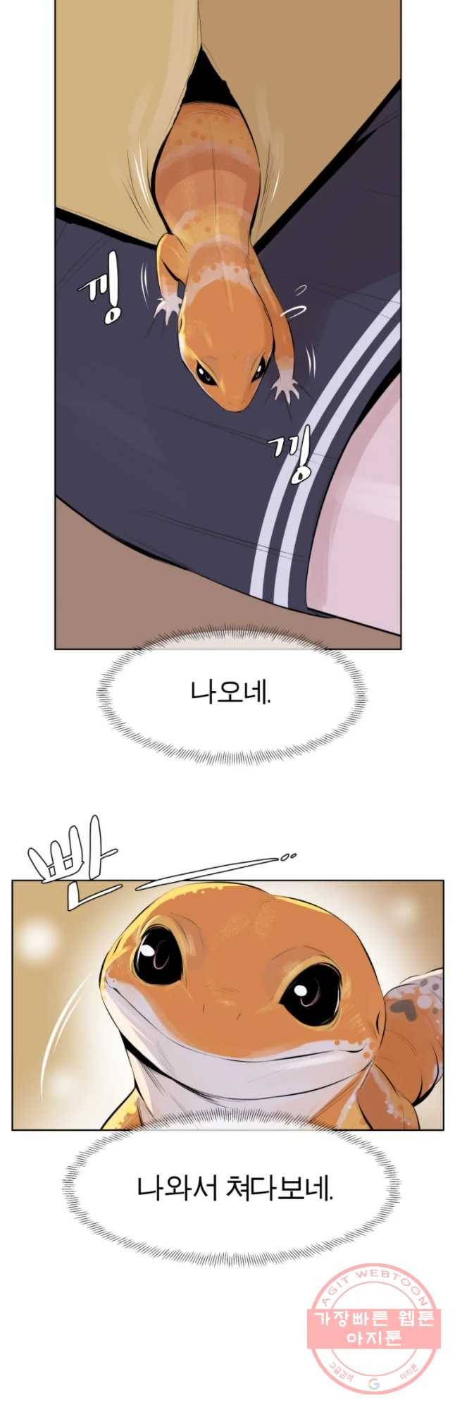 케어시트 1화 다섯 번째 전학 26
