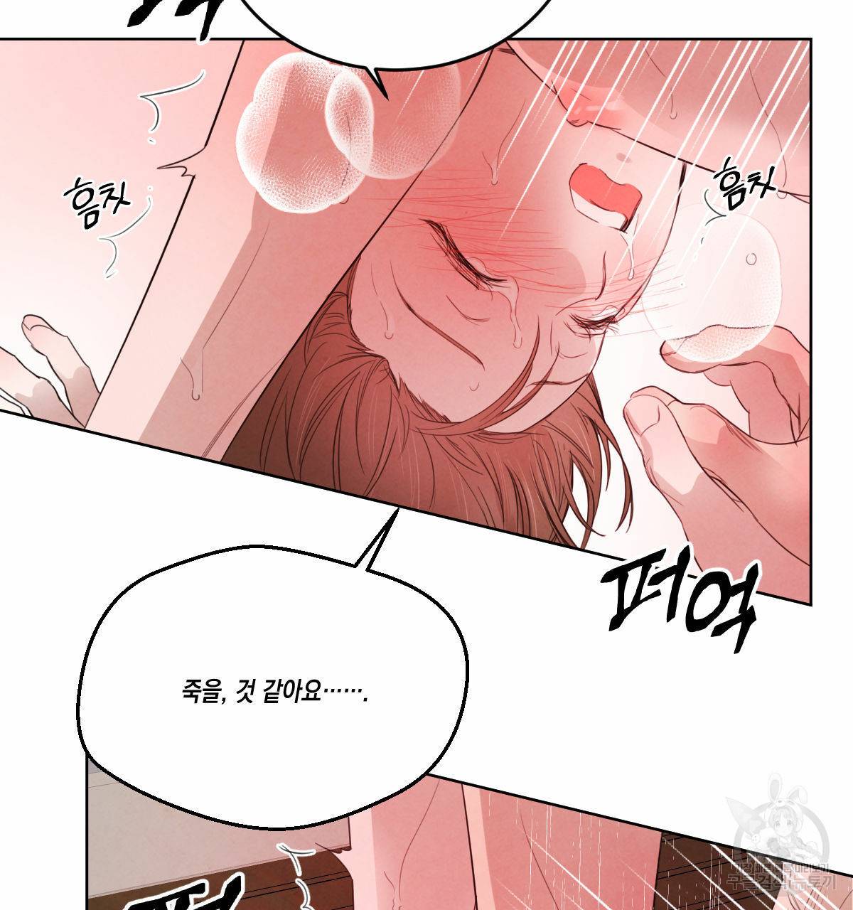 버드나무 로맨스 44화 57