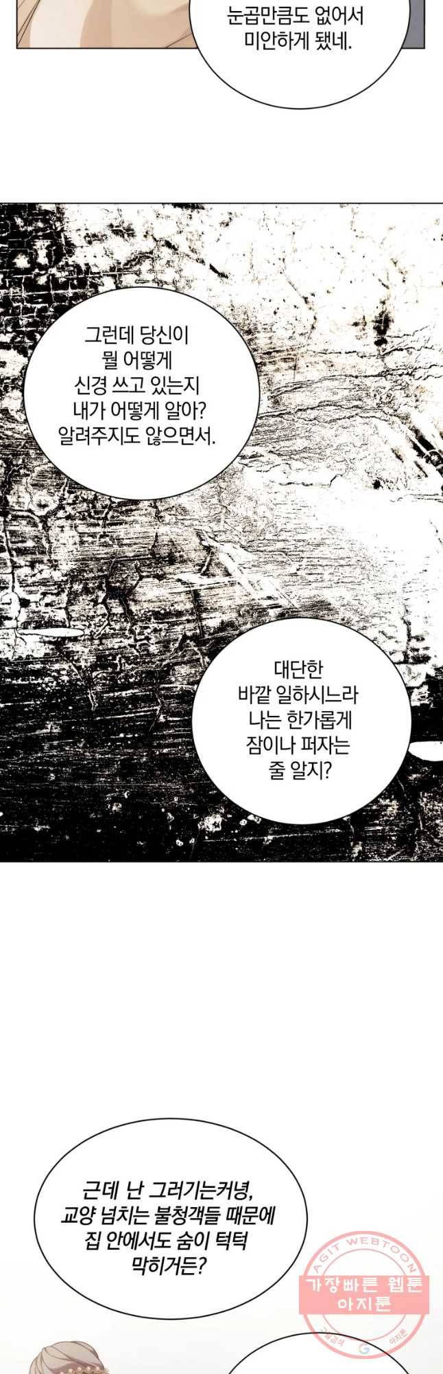 백작가의 불청객들 29화 46