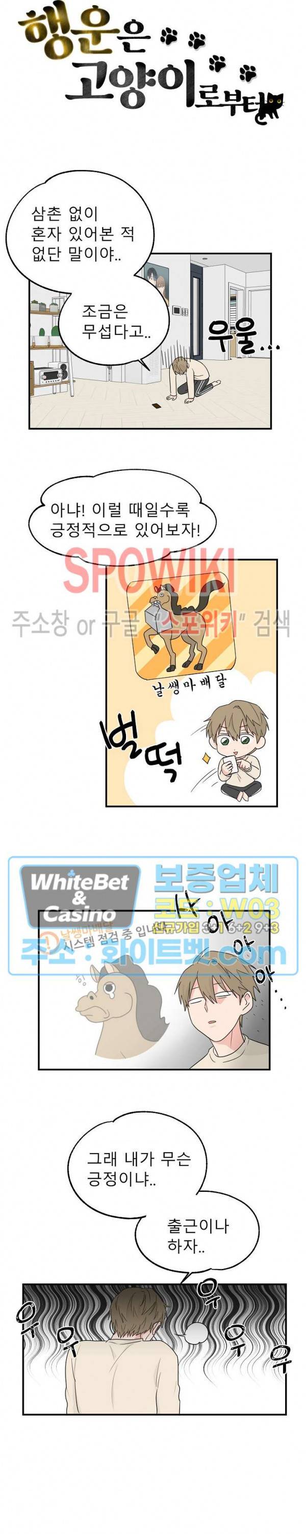 행운은 고양이로부터 1화 4