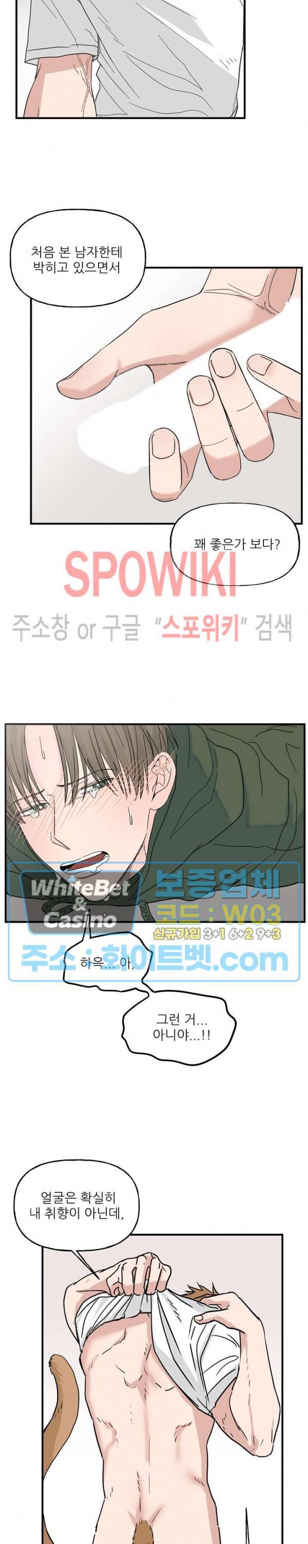 행운은 고양이로부터 11화 2