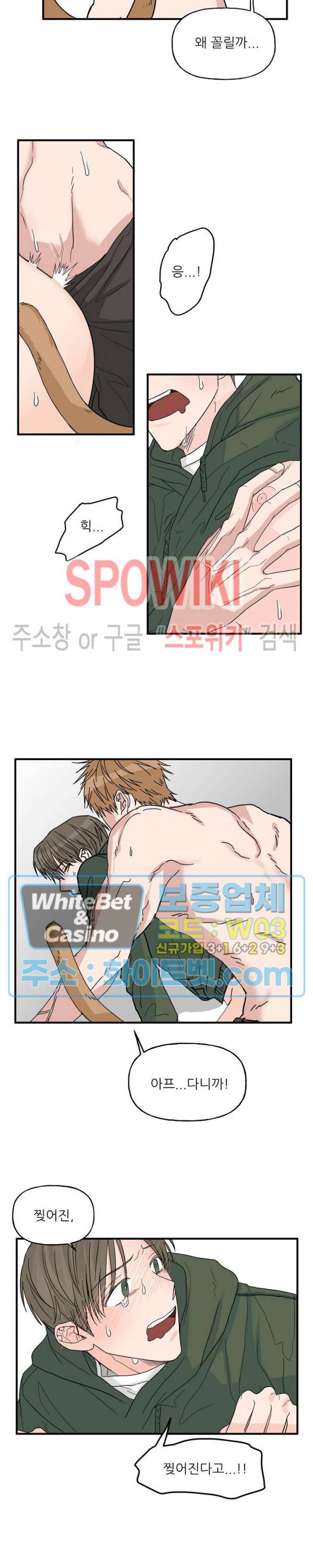 행운은 고양이로부터 11화 3