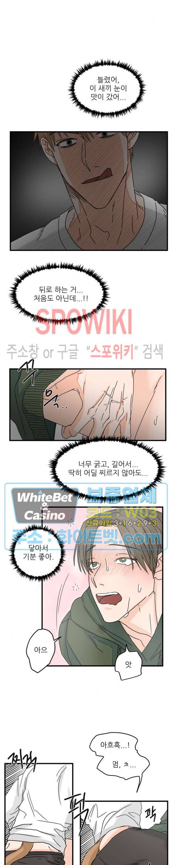 행운은 고양이로부터 11화 4