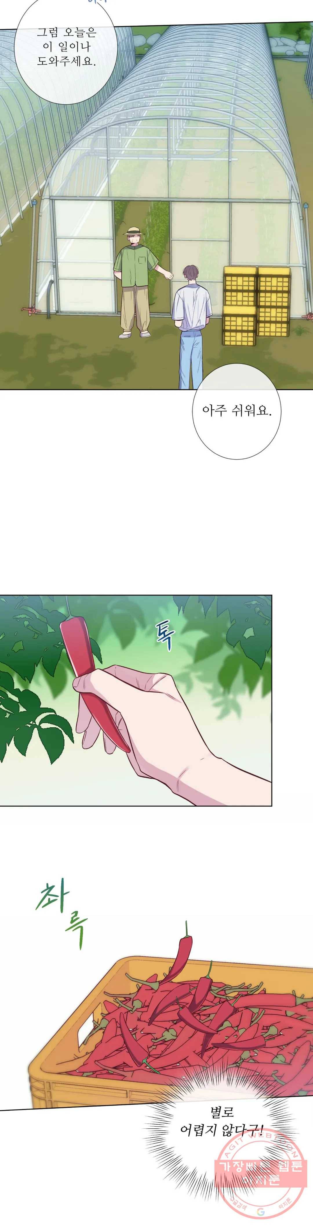 여름손 18화 5