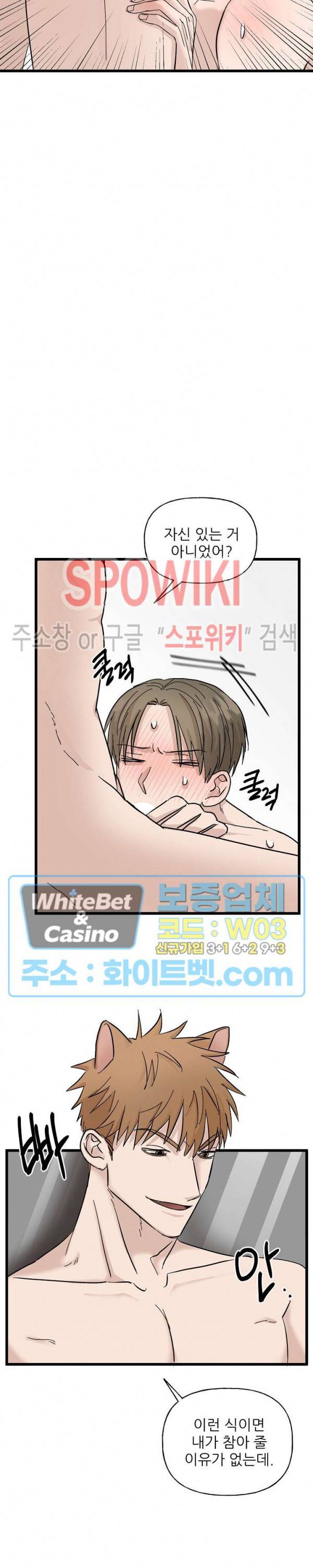 행운은 고양이로부터 14화 2
