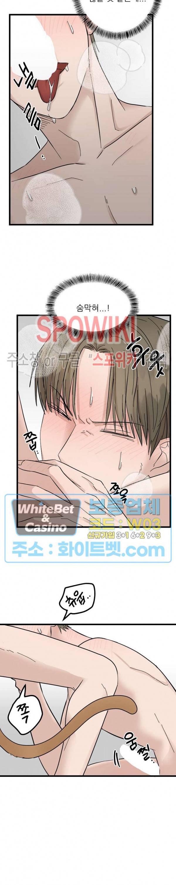행운은 고양이로부터 14화 4