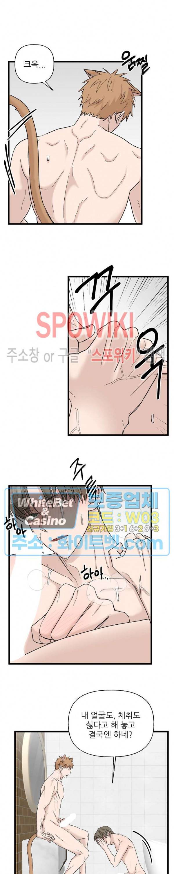 행운은 고양이로부터 14화 5