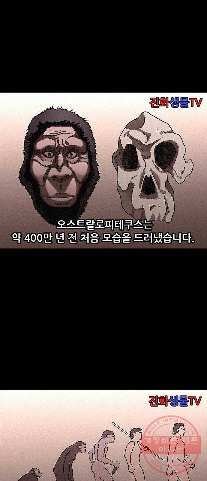 포식동물 22화 1