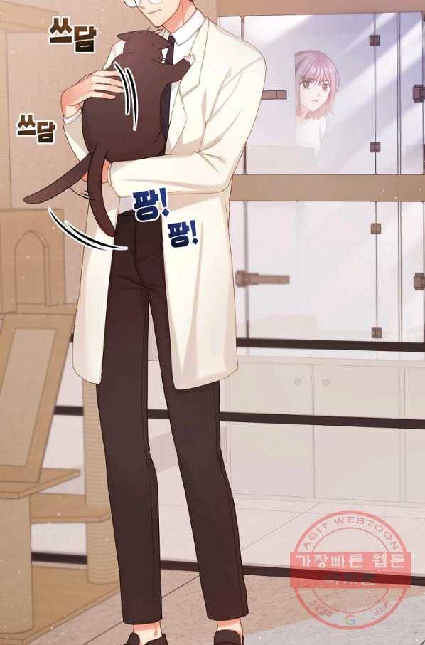 우리집 고양이는 베지테리언 내 집사가 되어라 2