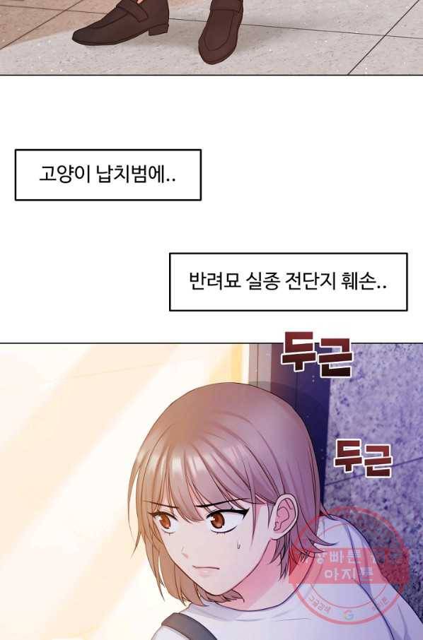 우리집 고양이는 베지테리언 내 집사가 되어라 3
