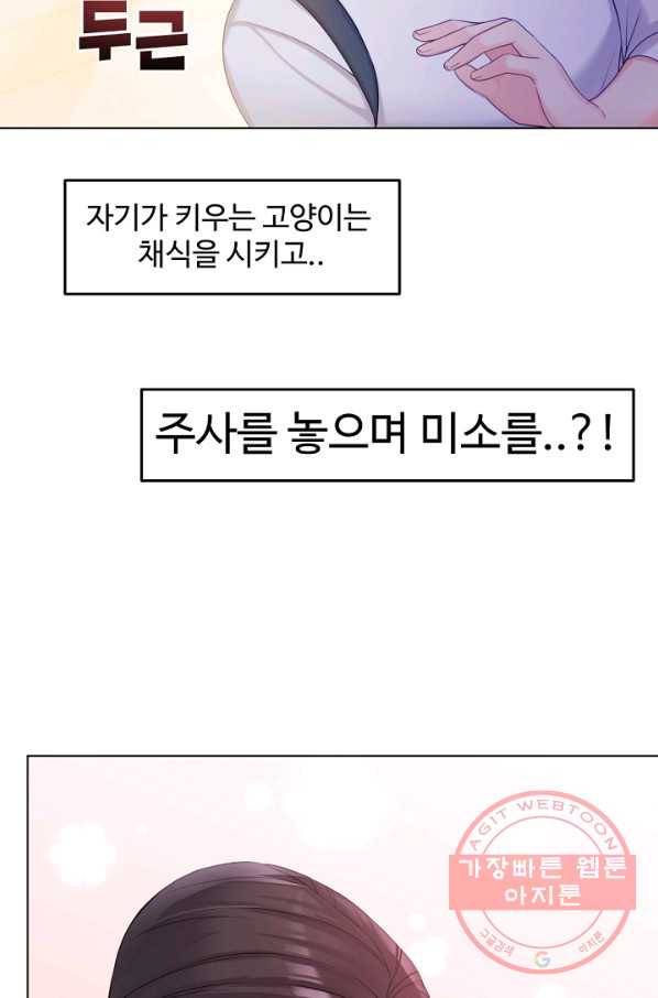 우리집 고양이는 베지테리언 내 집사가 되어라 4