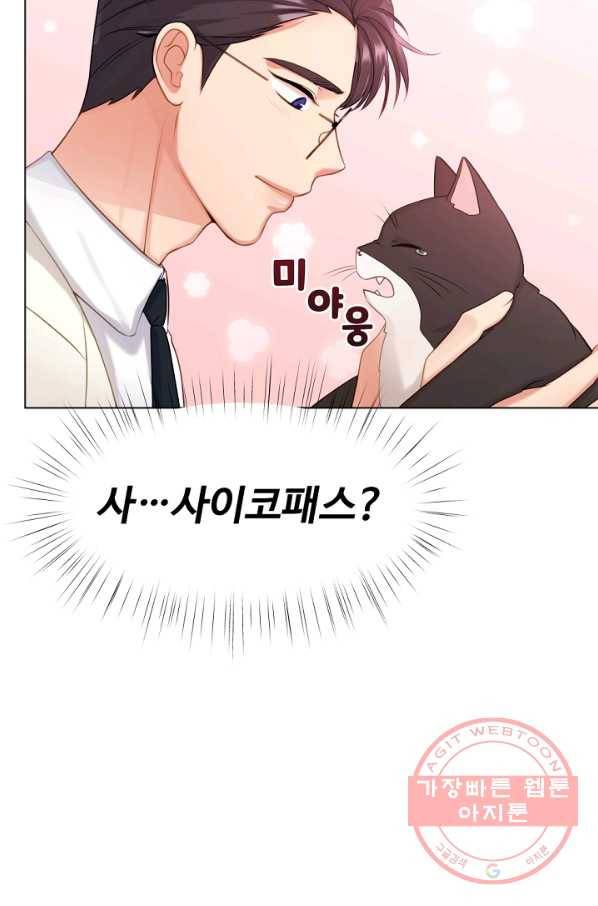 우리집 고양이는 베지테리언 내 집사가 되어라 5