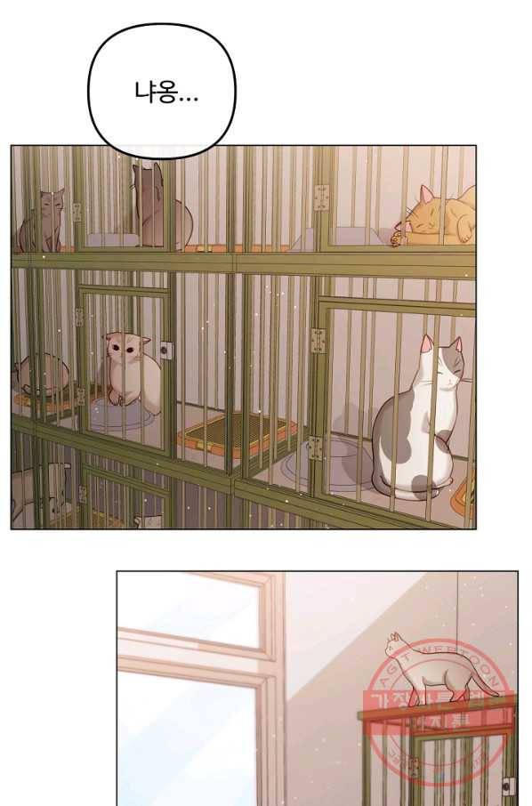우리집 고양이는 베지테리언 내 집사가 되어라 21
