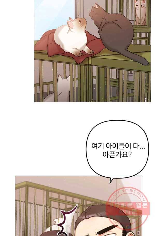 우리집 고양이는 베지테리언 내 집사가 되어라 22