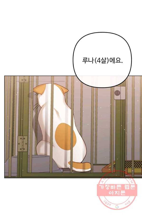 우리집 고양이는 베지테리언 내 집사가 되어라 25