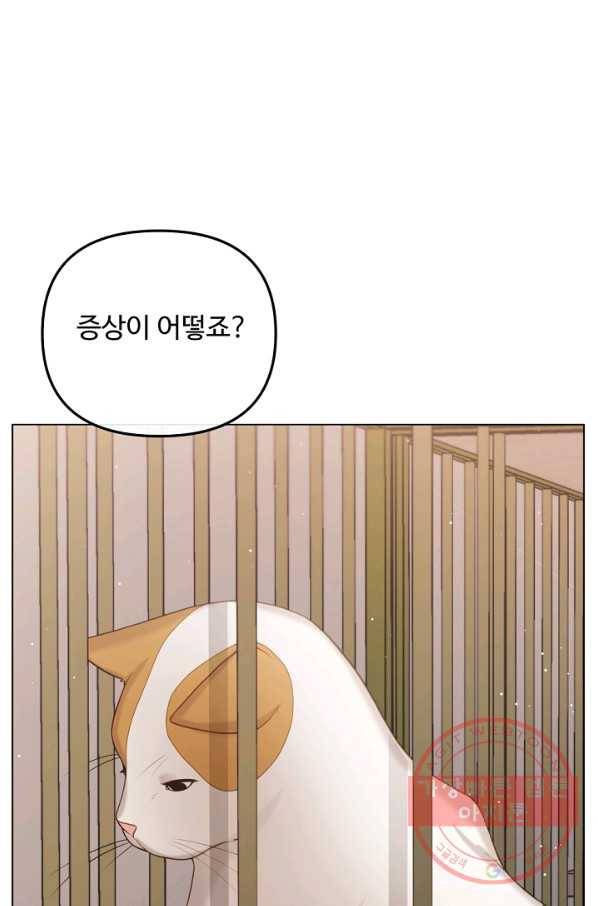 우리집 고양이는 베지테리언 내 집사가 되어라 26