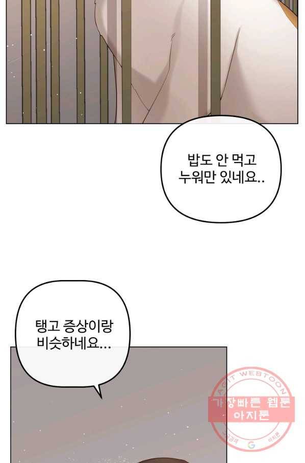 우리집 고양이는 베지테리언 내 집사가 되어라 27