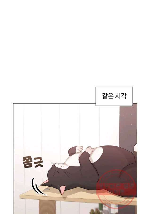 우리집 고양이는 베지테리언 내 집사가 되어라 29
