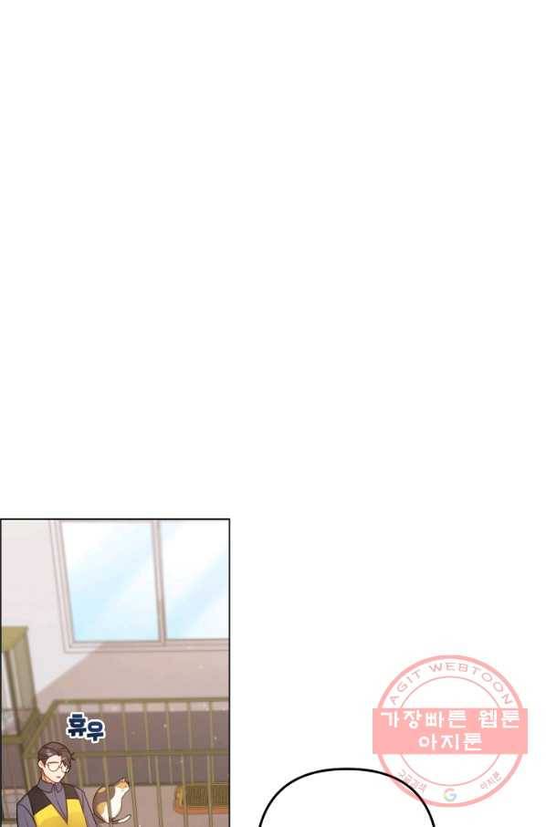 우리집 고양이는 베지테리언 내 집사가 되어라 36