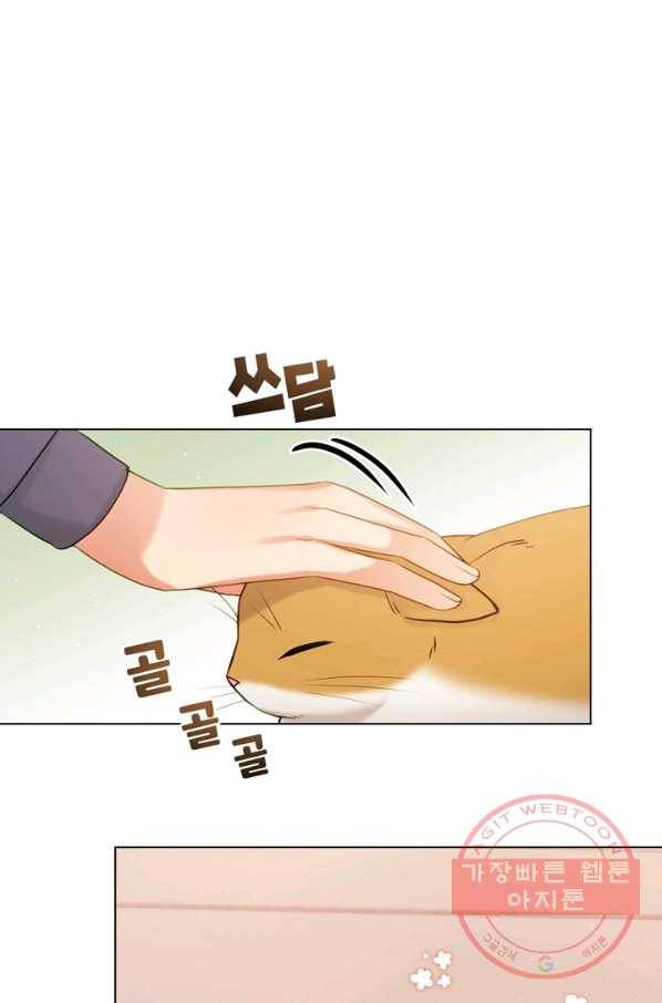 우리집 고양이는 베지테리언 내 집사가 되어라 38