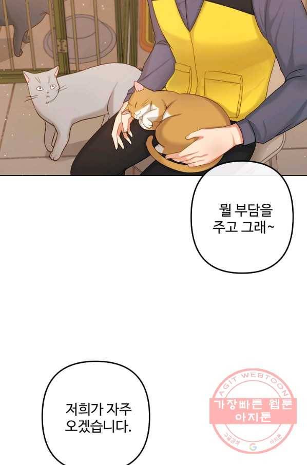 우리집 고양이는 베지테리언 내 집사가 되어라 43