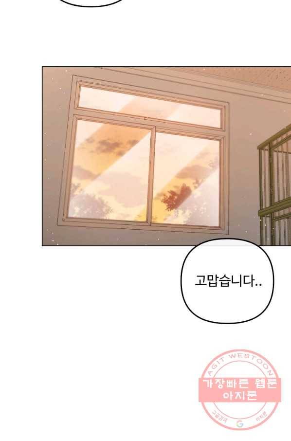 우리집 고양이는 베지테리언 내 집사가 되어라 44