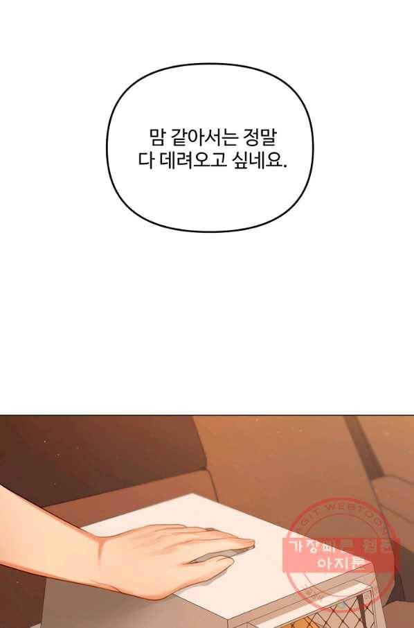 우리집 고양이는 베지테리언 내 집사가 되어라 49