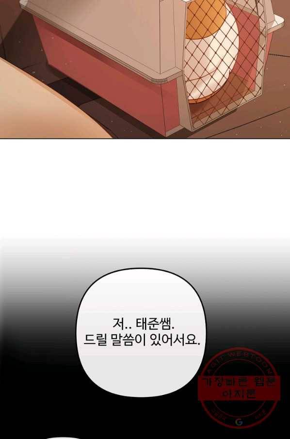 우리집 고양이는 베지테리언 내 집사가 되어라 50